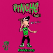 Pinche Party artwork