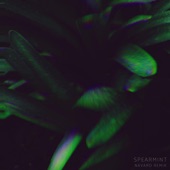 Spearmint (Navaro/Nueq Remix) artwork