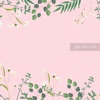 Sweet Nocturne - Single