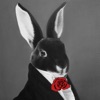 Swing Rabbit ! Swing ! - Single