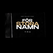 FÖR STORA NAMN artwork