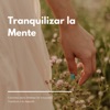 Caetano Pensamento - Buen Modo de Empezar
