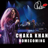 Ain't Nobody (Live) - Chaka Khan