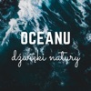 Oceanu dźwięki natury - Deszcz, fale oceanu lub dźwięku wodzie spa