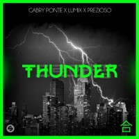 Gabry Ponte & LUM!X - Thunder