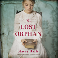 Stacey Halls - The Lost Orphan artwork