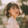 MEI - Vol. 1