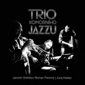 Trio Komorního Jazzu artwork