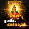 Vrishchikam Pularnnappol (From "Swami Saranam") - Single