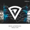 Hold On (feat. Raynash) [Extended Mix] - Single album lyrics, reviews, download
