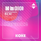 불놀이야 : Originally Performed By 옥슨 80 (Karaoke Verison) artwork