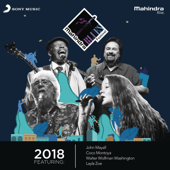 The Mahindra Blues Festival 2018 (Live) - Various Artists
