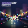 Instrumental Insight - EP