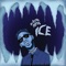 Ice artwork