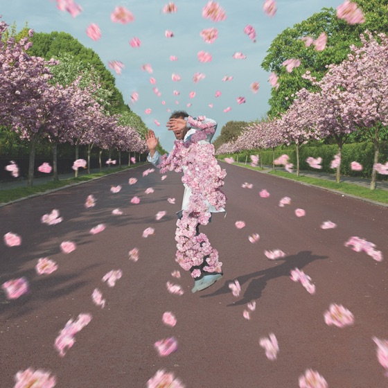 Cover artwork for Crystalline