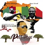 Petit Pays Rabbi - Les baobabs sont tombés (feat. Manu Dibango & Pape Diouf) [Hommage]