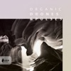 Nicholas Hill, Ben Sumner & Glenn Herweijer - Marvel of Captivation