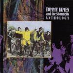 Tommy James & The Shondells - Hanky Panky (Single Version)