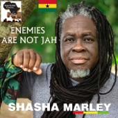 Enemies Are Not Jah artwork