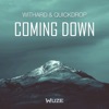 Coming Down - Single