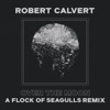 Over the Moon (A Flock of Seagulls Remix) - Single