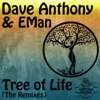 Dave Anthony & Tasha Lara'e - Tree of Life feat. EMan (Atjazz Remix)
