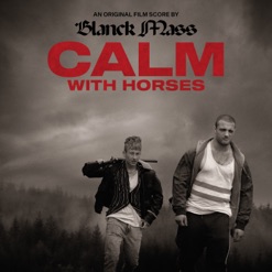 CALM WITH HORSES - OST cover art