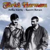 Türkü Harmanı artwork