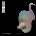 Rodriguez Jr. - What Is Real (feat. Liset Alea)