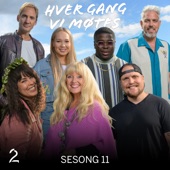 Hver gang vi møtes (Sesong 11) artwork