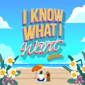 I know what I want artwork