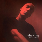 Shaking - EP artwork