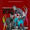 Stream & download Vunjika (feat. Kronic & Mr kitale) - Single