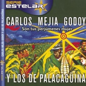 Carlos Mejía Godoy - Son Tus Perjúmenes Mujer