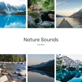 Nature Sounds and River - EP artwork