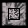Kurosaki - Single album lyrics, reviews, download