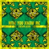 Now You Know Me - Single