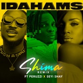 Shima (Remix) artwork