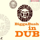 Biggabush - Don in Studio One
