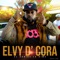 Cumpleaños (feat. Pochi Ranks) - Elvy D Cora el Don de la Rima lyrics