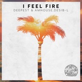 I Feel Fire (feat. Desib-L) artwork