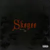 Skegee - Single album lyrics, reviews, download