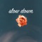 Slow Down artwork