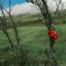 Holy Discover - Ollane lyrics