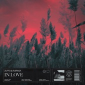 In Love (Extended Mix) artwork