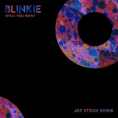 What You Want (Joe Stone Remix) artwork