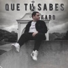 Que Tu Sabes - Single