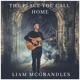 THE PLACE YOU CALL HOME cover art