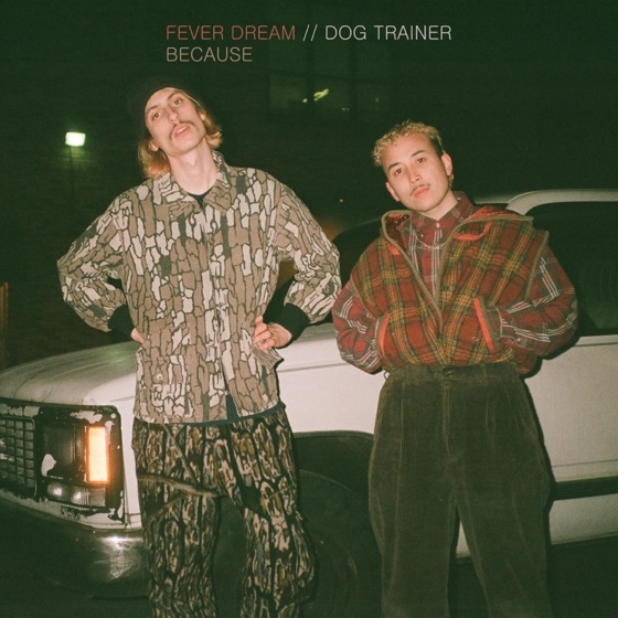 Cover artwork for Because