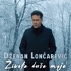 Zivote Duse Moje - Single